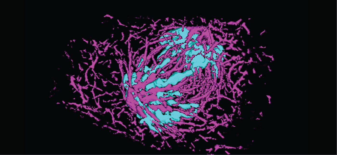 Allen Institute for Cell Science cover image
